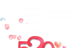 520为爱促销
