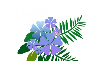 紫色花束夏日清醒