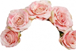 鲜花