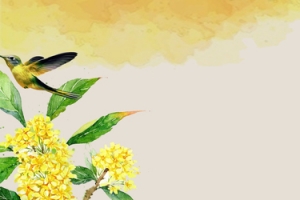 桂花文艺深秋电商Banner