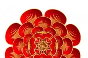 中式大红花高清PNG透明免扣设计素材免费下载