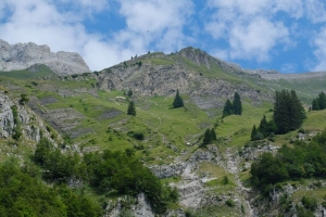 山 树木 景观 自然 斜坡 4k壁纸 3840x2160