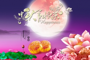 中秋节紫色天空花朵