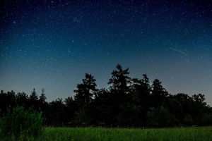 星空 树木 夜晚 田野 4k壁纸 3840x2160