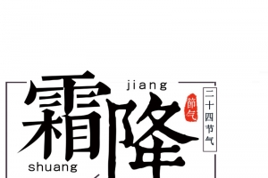 中国传统节气之霜降海报