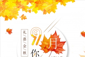 你好九月金黄色简约背景