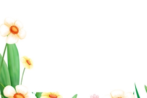 装饰的花朵