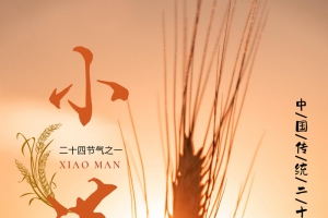 暖橙色夕阳下的小满节气