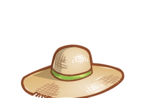 草帽图标