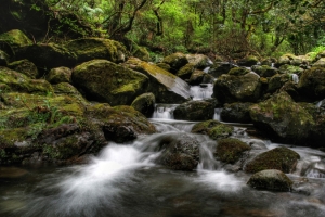 山林间的流水