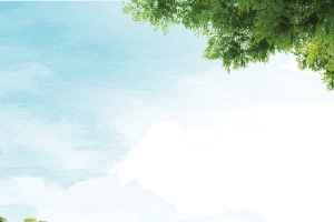 绿色保护野生动物公益海报