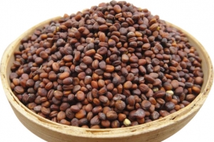 中药莱菔子免扣