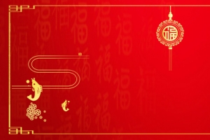 春节狂欢大促红色简约banner