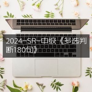 2024年SR中级多选判断题集，180句精选