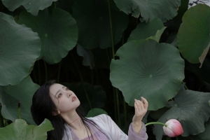 荷叶 荷花 古风美女4k手机壁纸竖屏