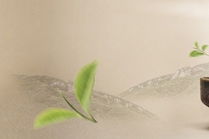 茶叶背景