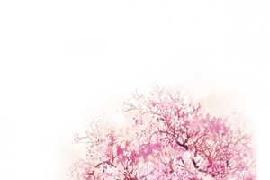 粉色樱花树