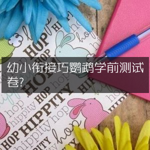 幼小衔接优选，巧鹦鹉学前能力评估卷