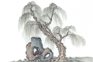 垂柳中国画