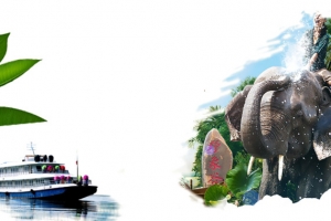 旅游元素