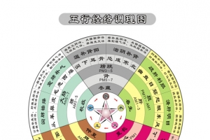五行经络调理图