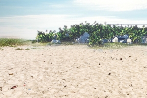夏天 夏季 海滩 酷夏 背景图片