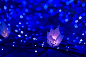 花环 眩光 散焦 光 圣诞节 新年 4k壁纸 3840x2160
