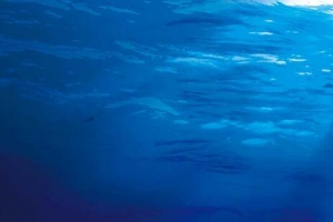 海水