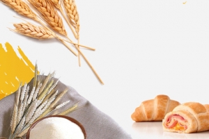 面包诱惑简约白色banner