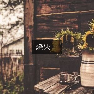 烧火工，探索文学艺术之美的书籍