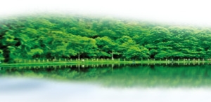 绿色山水透明素材