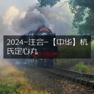 2024年注会备考首选-中华杭氏定心丸