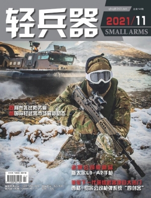 2021年轻兵器精华版PDF，一站式获取最新资讯