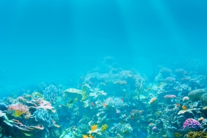 海底背景