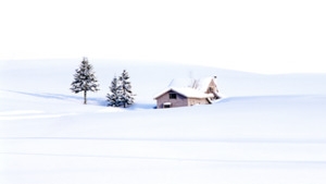 冬天雪地
