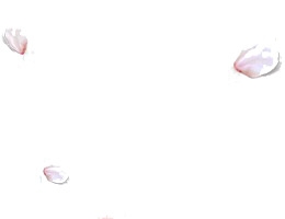 落花