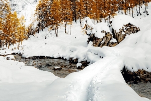 流 雪 路径 山 树 冬季 4k壁纸 3840x2160