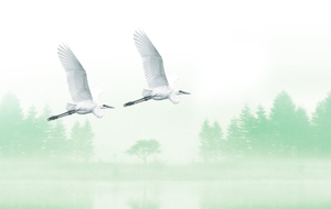 中国风山水画飞鹤背景banner