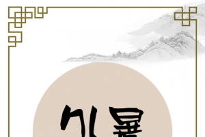 处暑海报背景图
