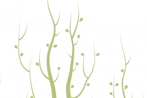 小清新树藤背景