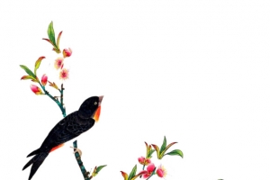鸟语花香png素材