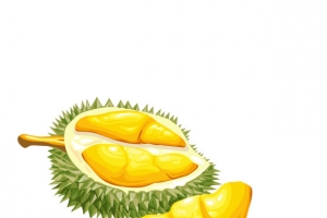 卡通黄色榴莲矢量图