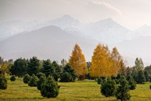 树木 山脉 秋天 雾 风景 4k壁纸 3840x2160