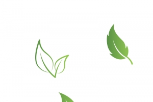 树叶植物绿色植物树叶LOGO