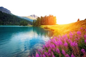 高山景色图片三
