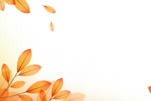 淘宝 店招 banner 背景