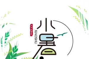 小暑植物装饰卡通元素图