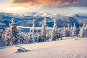 冬季美景雪地白色