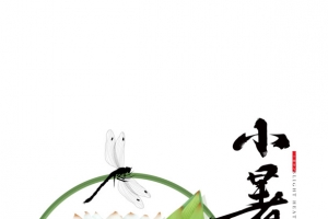 蜻蜓立荷花小暑节气