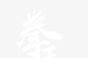 拳王争霸